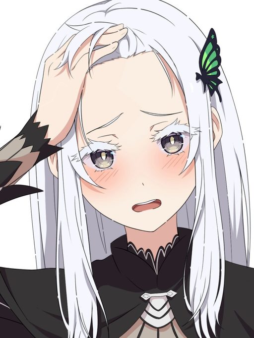 Echidna