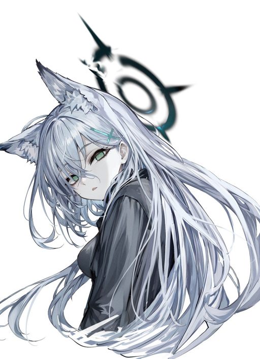 Shiroko (terror)